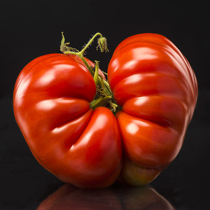 twin red tomato