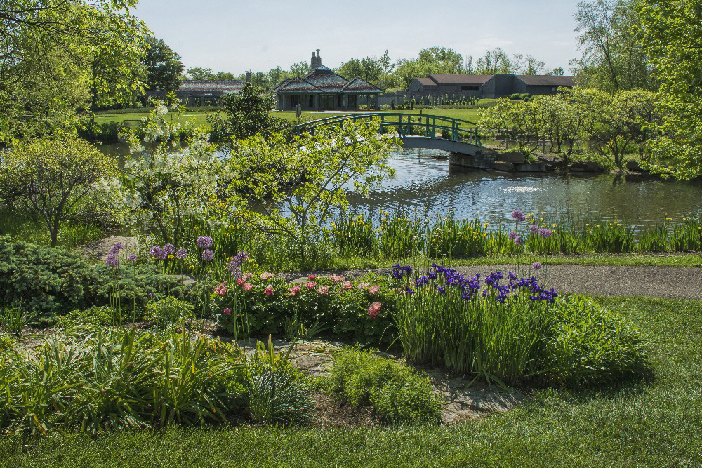 Cox Arboretum Metro Park flowers and Monet bridge by Dan Cleary of Cleary Creative Photography in Dayton Ohio