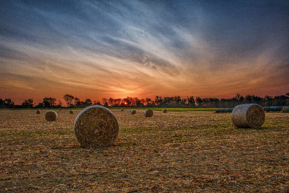 Sunrise in cornfield in Miami county Ohio by Dan Cleary
