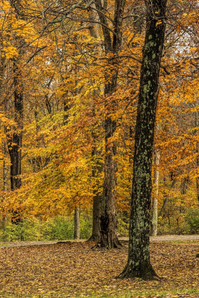 Fall photograph at John Bryan park by Dan Cleary of Cleary Creative Photography in Dayton Ohio