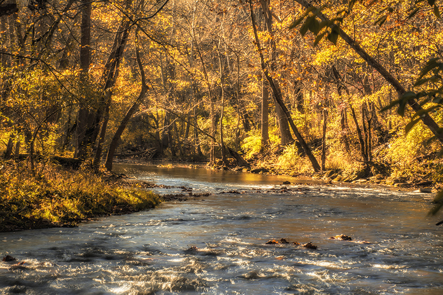 Little Miami river John Bryan park Yellow Springs by Dan Cleary