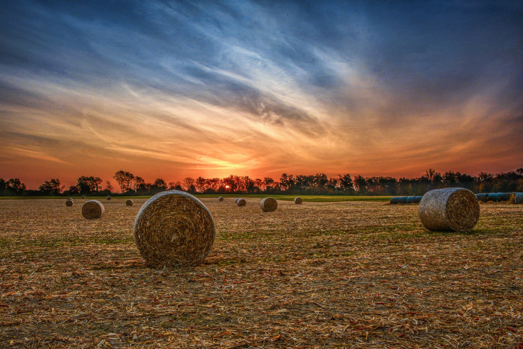 Sunrise photograph in Miami County Ohio by Dan Cleary of Cleary Creative Photography